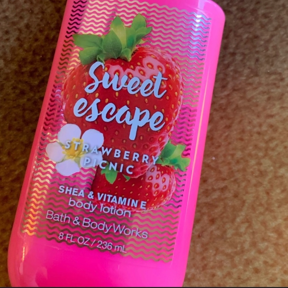 Sweet escape strawberry picnic